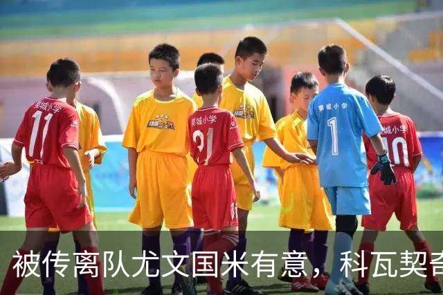 被传离队尤文国米有意，科瓦契奇：曼城仍然指望我